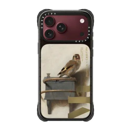 The Goldfinch Case - iPhone 18 Pro Max - Ultra Impact Case - Mirror